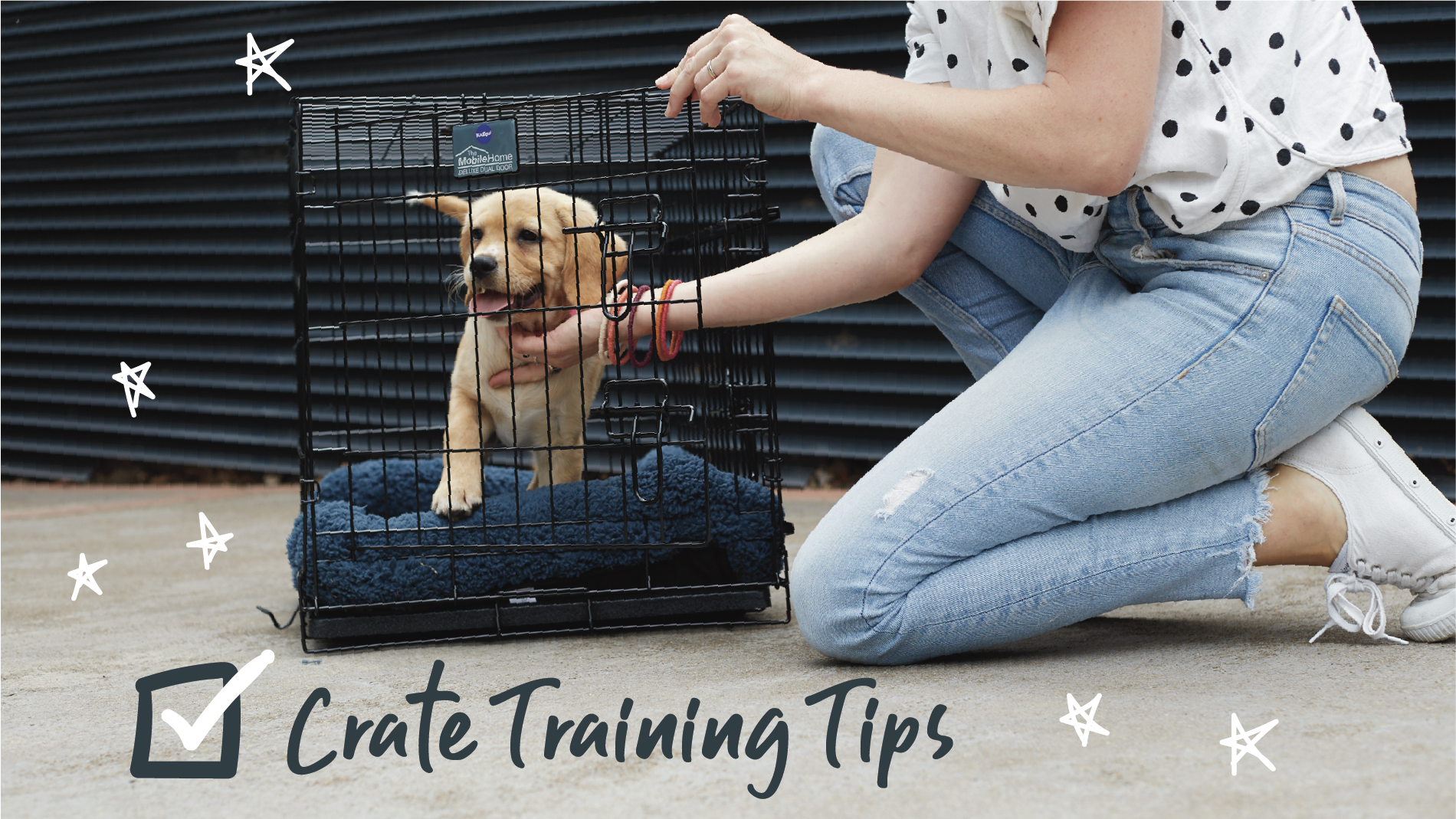 Tips for Crate Training