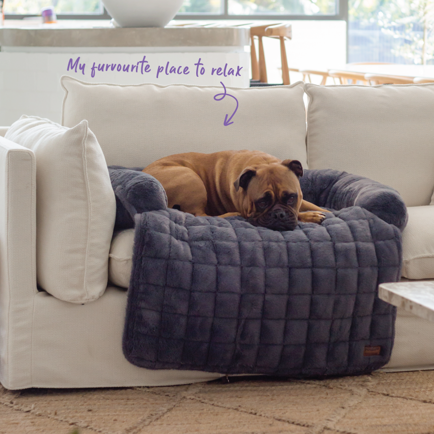 Kmart pet bed couch best sale