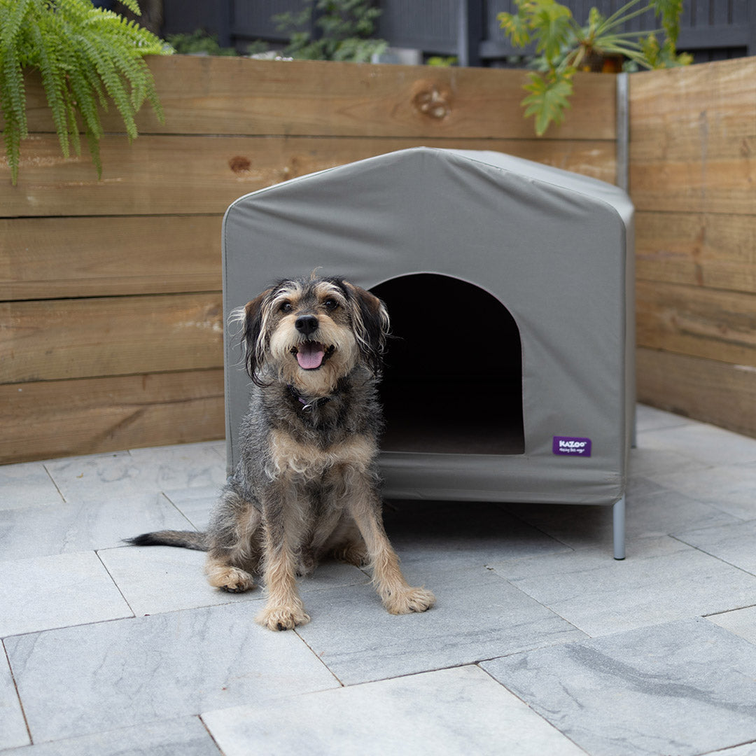 Canvas dog outlet kennels