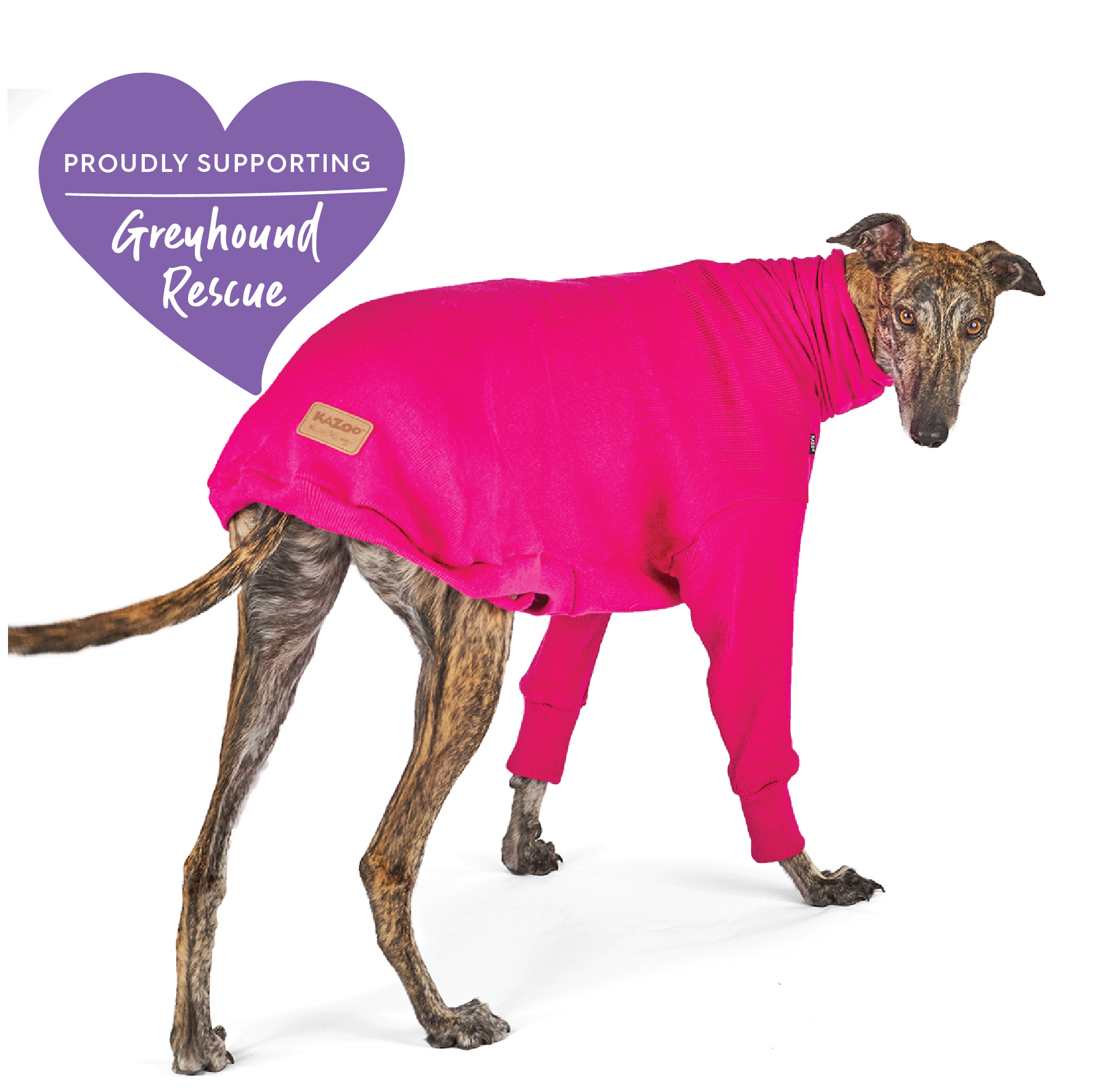 Greyhound coats pets top at home