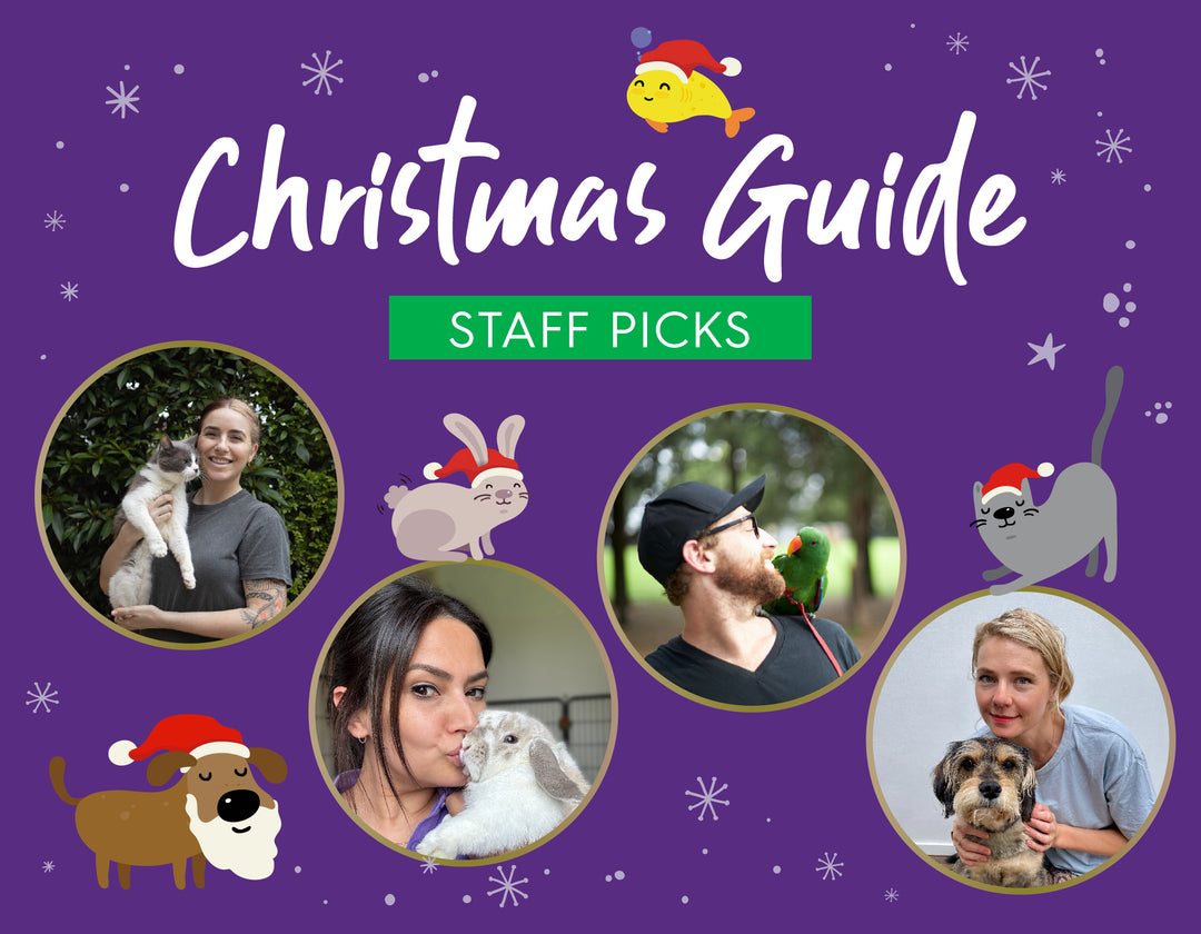 The Kazoo Krew's Christmas Gift Guide 🎄