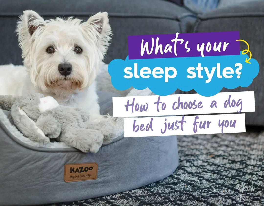 What's Your Sleep Style? 🤔 How To Choose a Dog Bed Just Fur You!