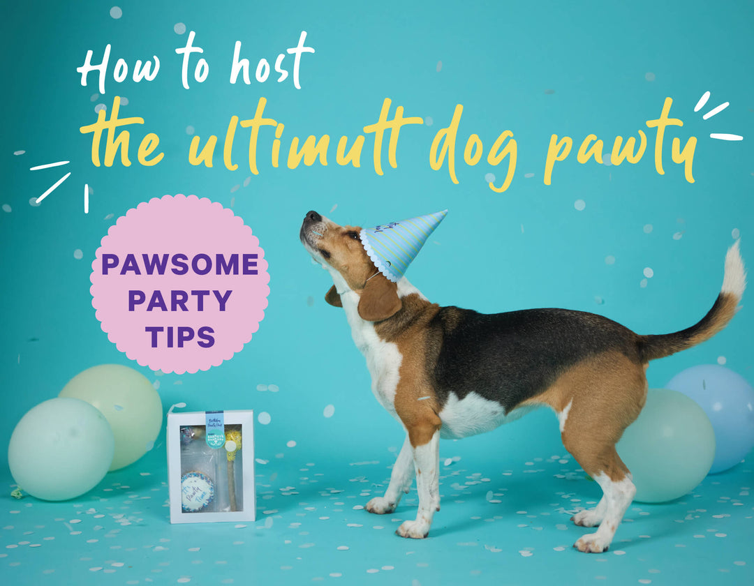 GIVEAWAY - The Ultimutt Guide to Birthday Parties for Dogs