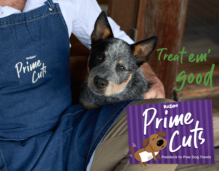 Prime Cuts: Air-Dried Dog Treats That Are a Cuts Above the Rest 🥩