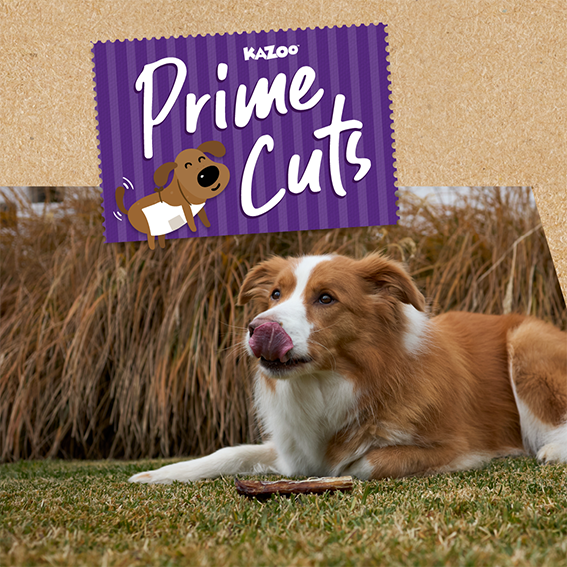 Prime Cuts - 100% Dehydrated Meat Treats