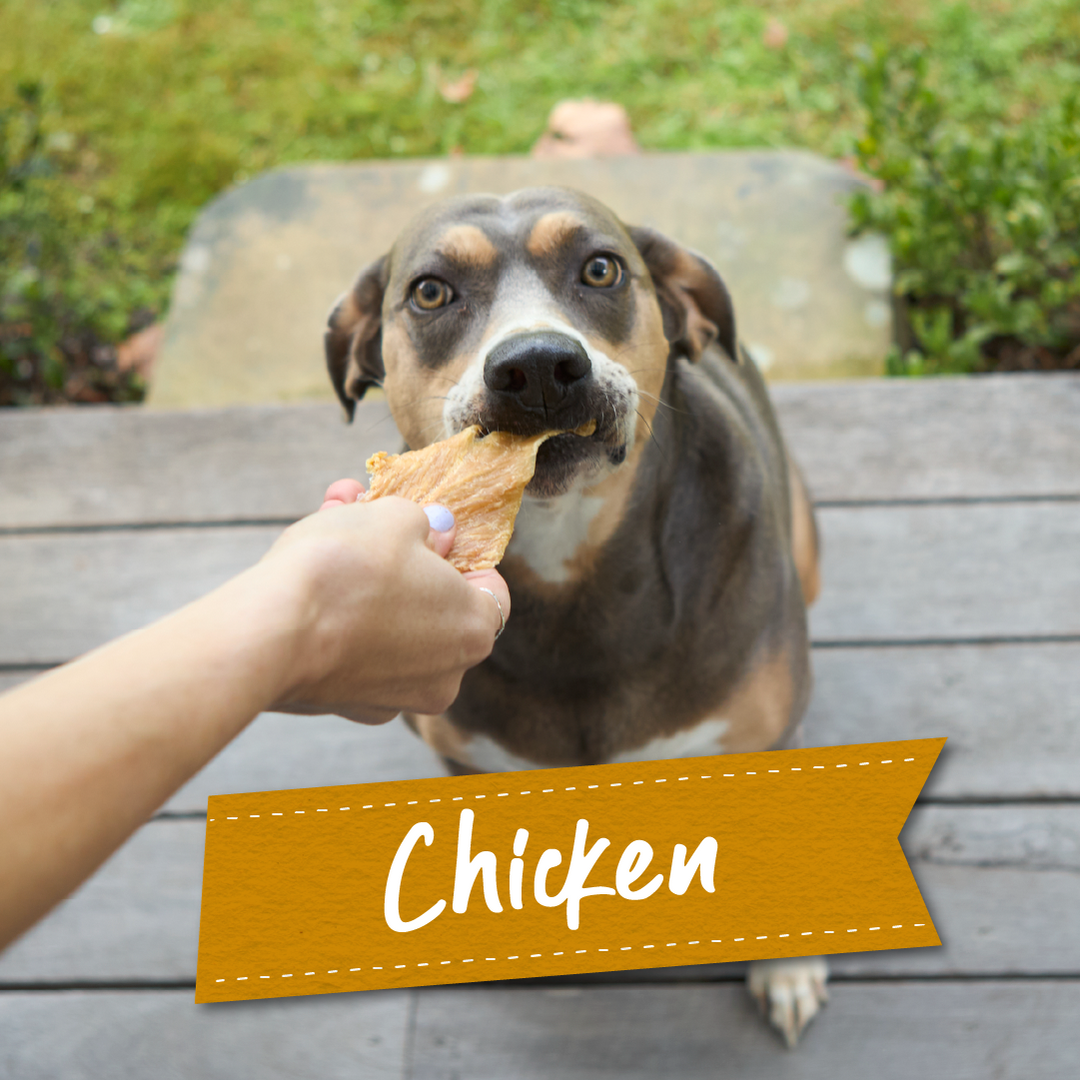 Chicken Dog Treats