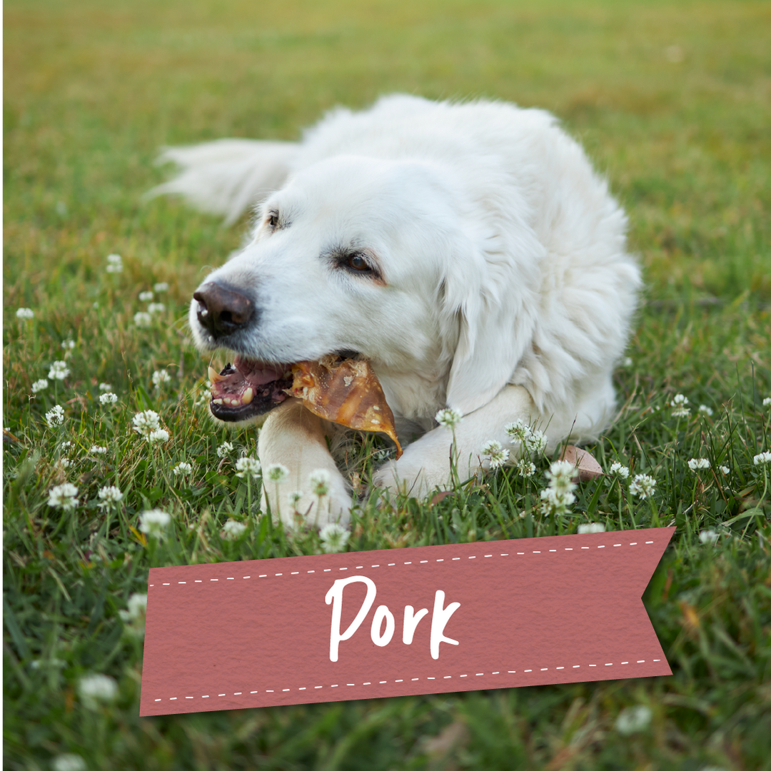 Pork Dog Treats