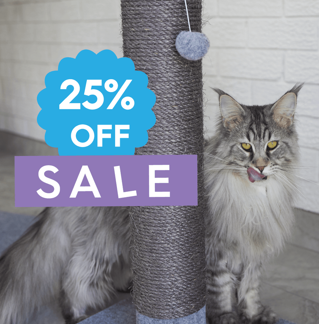 Cat Furniture SALE