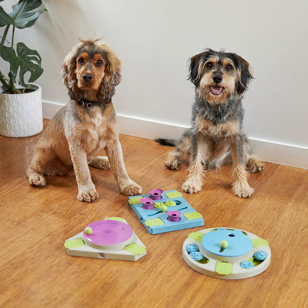 Top tail puzzle toys for dogs
