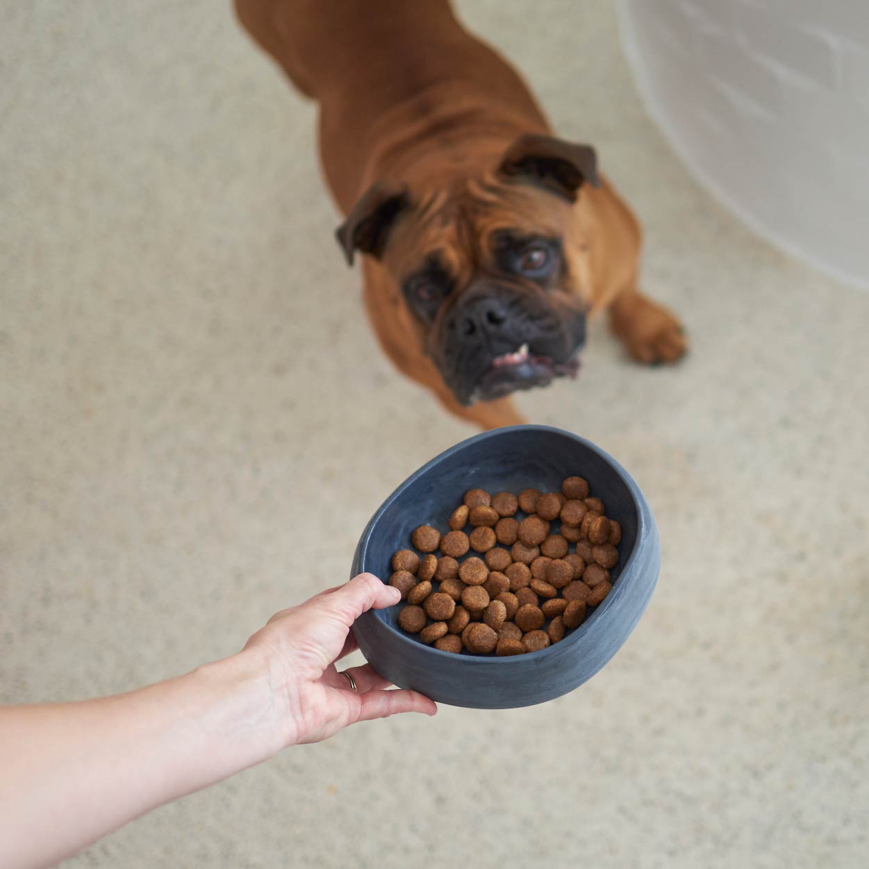 Recycled Dog Bowls | Kazoo Pet Co