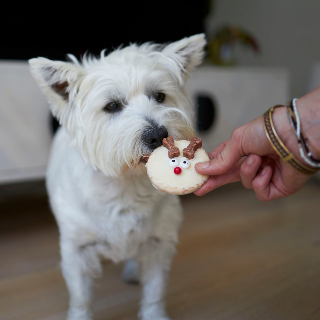 Christmas Treats & Chews