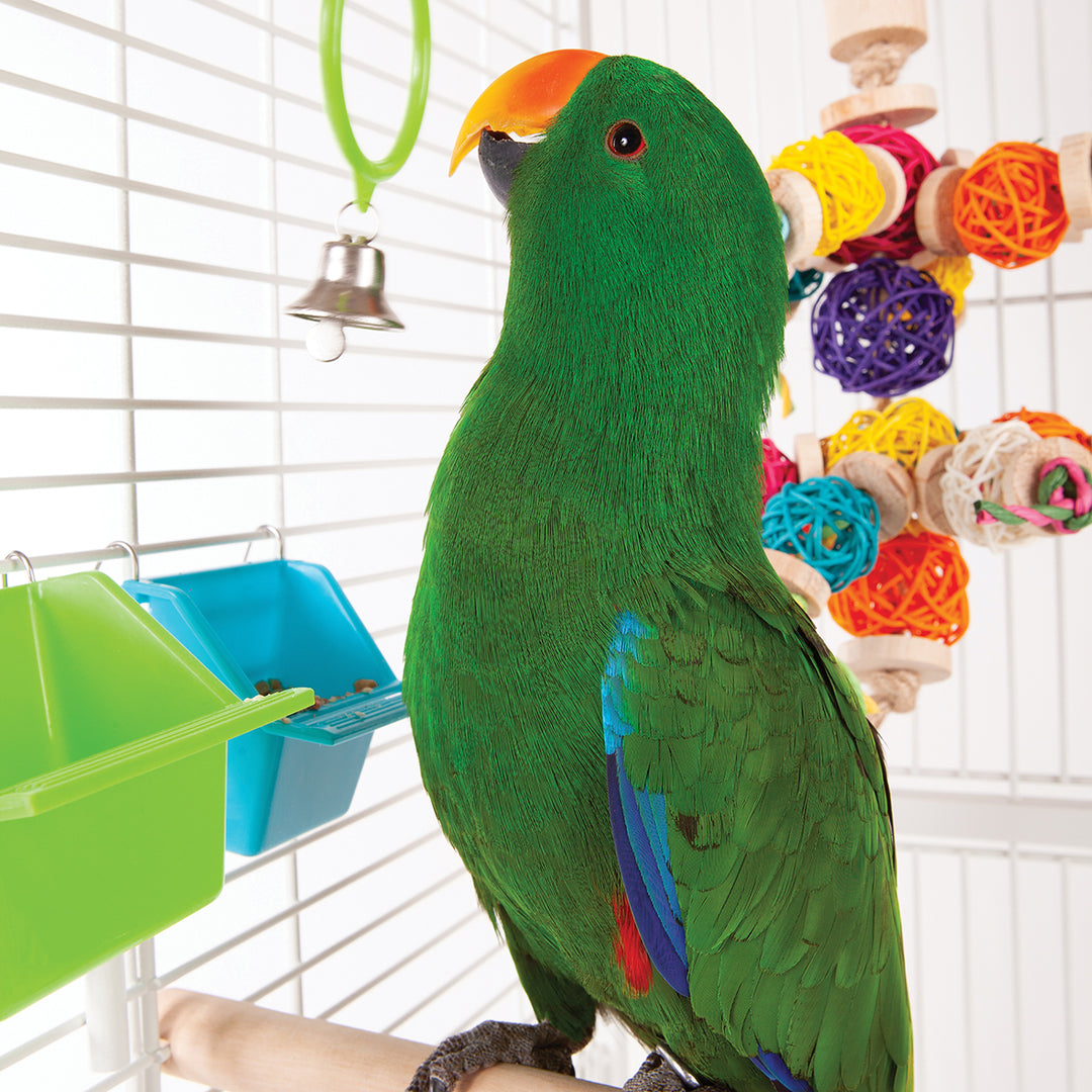 Interactive bird toys