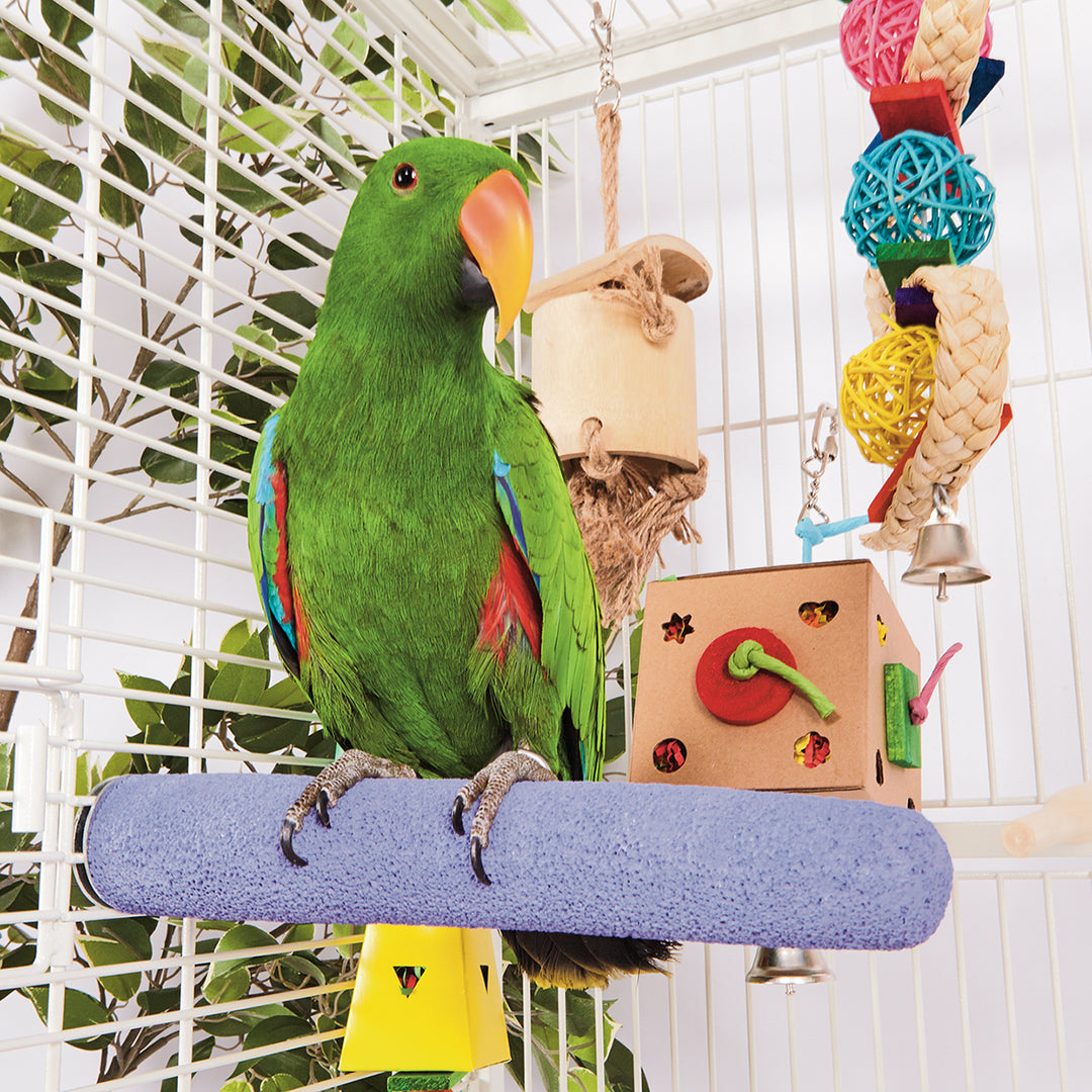 Natural bird toys