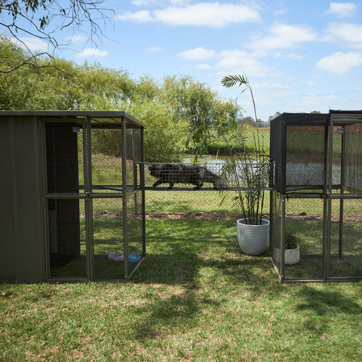 Outdoor Cat House Enclosure - Full Set