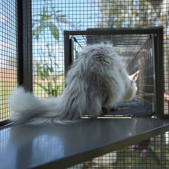 Outdoor Cat House Enclosure - Full Set