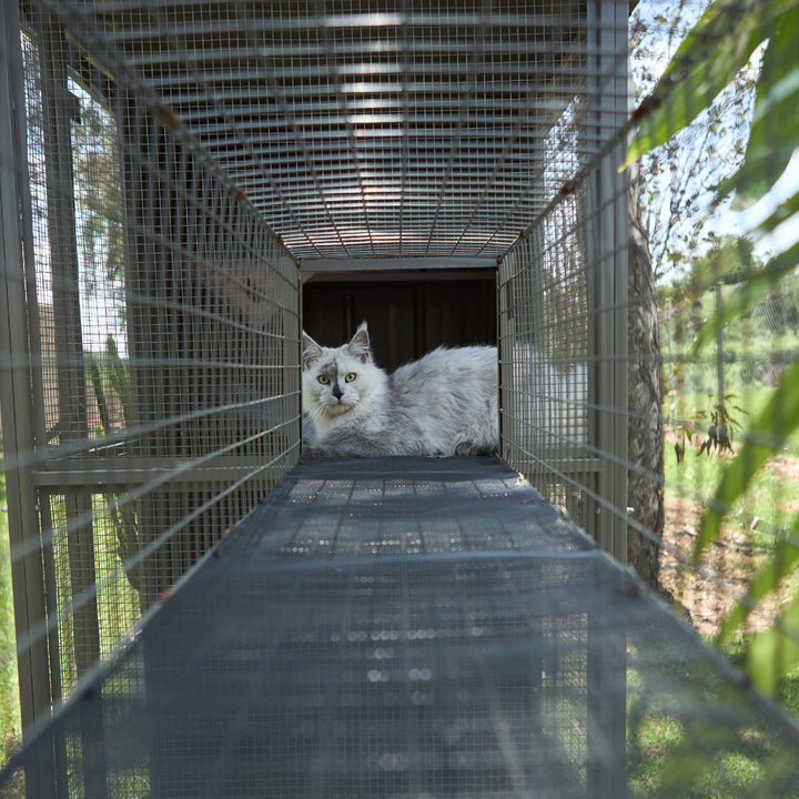 Outdoor Cat House Enclosure - Full Set