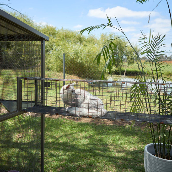 Outdoor Cat House Enclosure - Full Set