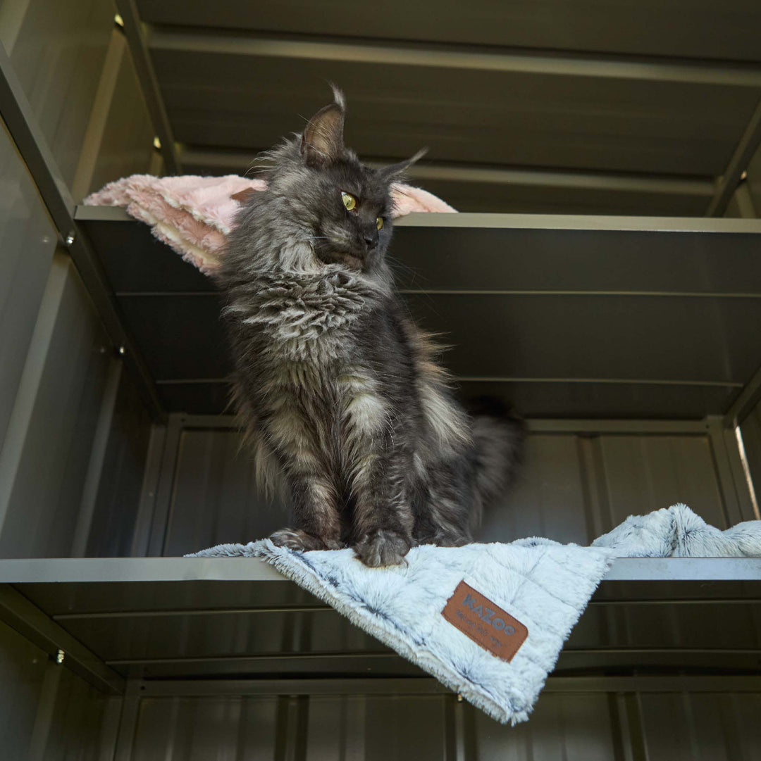 Outdoor Cat House Enclosure - Full Set