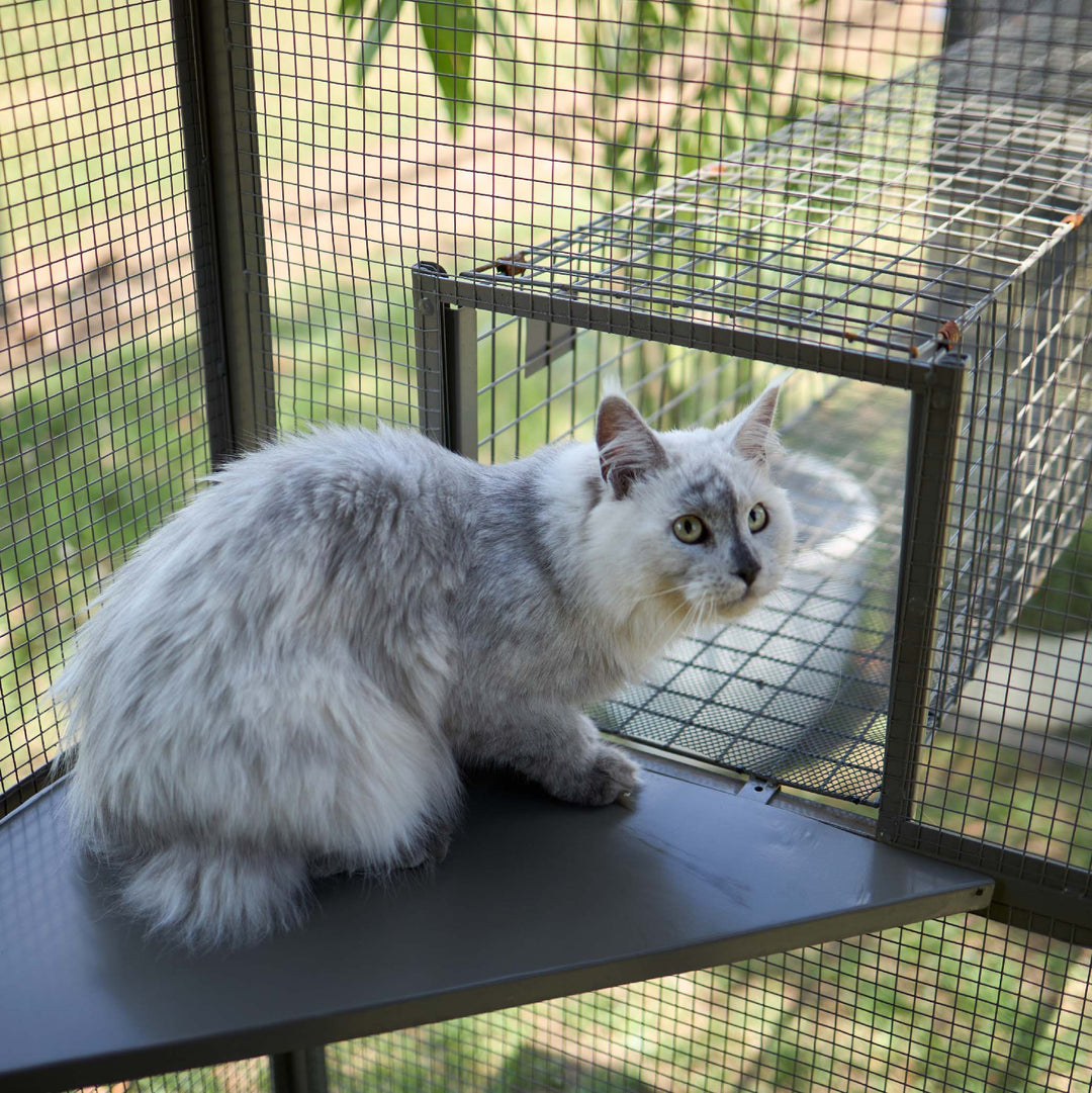 Outdoor Cat House Enclosure - Full Set