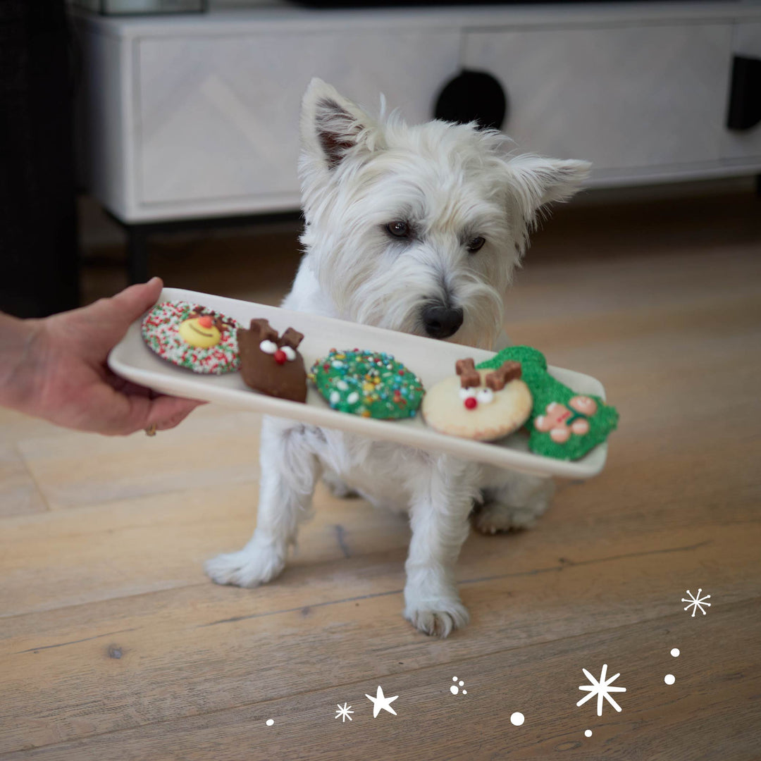 Christmas Bone Gingerbread Cookie with Sprinkles