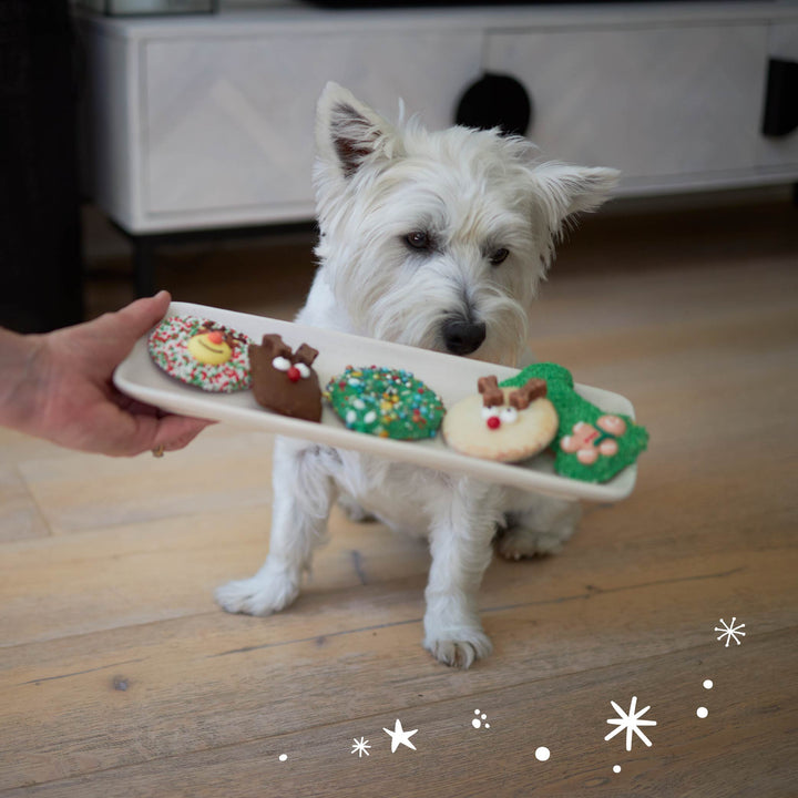 Christmas Bone Gingerbread Cookie with Sprinkles