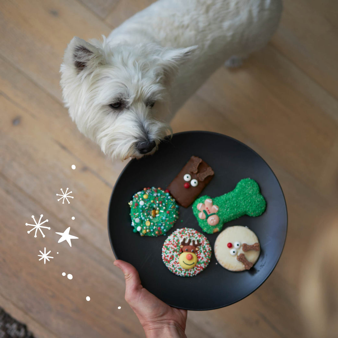 Christmas Bone Gingerbread Cookie with Sprinkles