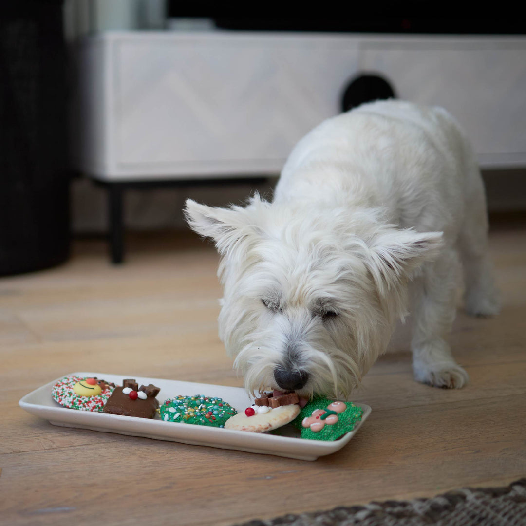 Christmas Bone Gingerbread Cookie with Sprinkles