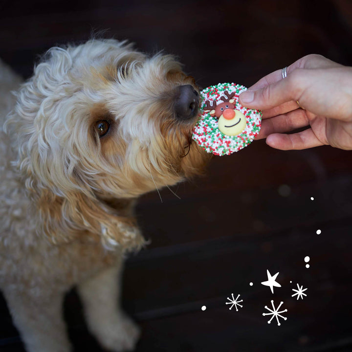 Christmas Reindeer Cookie with Sprinkles