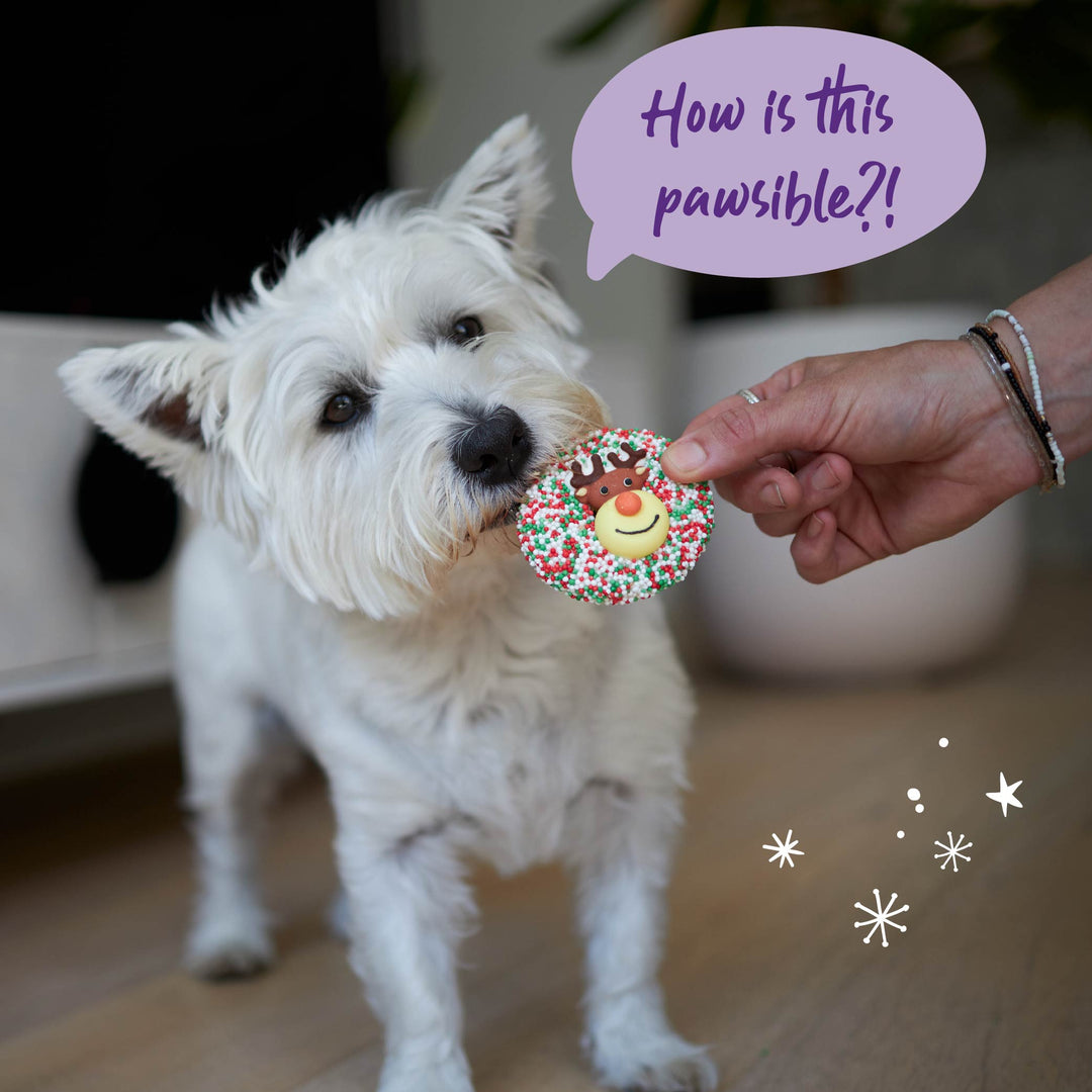 Christmas Reindeer Cookie with Sprinkles