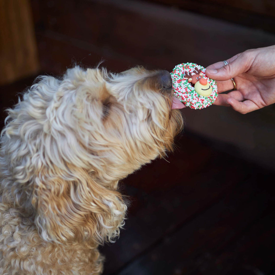 Christmas Reindeer Cookie with Sprinkles