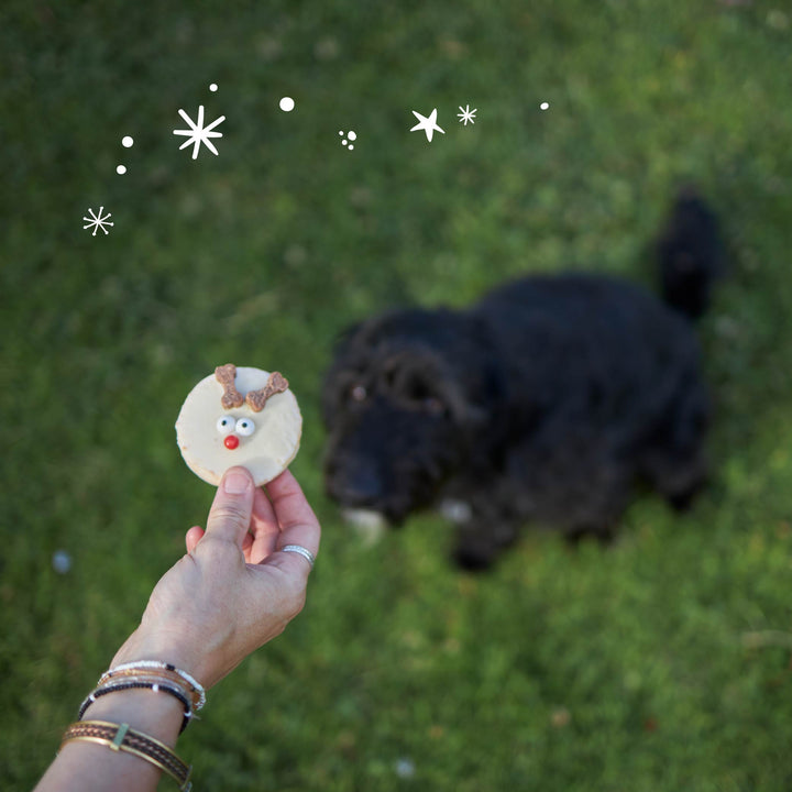 Christmas Rudolph Yoghurt Cookie