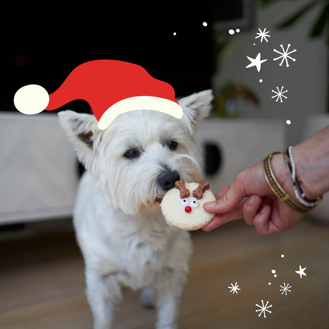 Christmas Rudolph Yoghurt Cookie