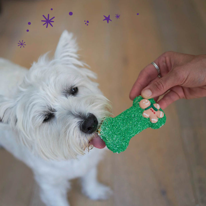 Christmas Bone Gingerbread Cookie with Sprinkles