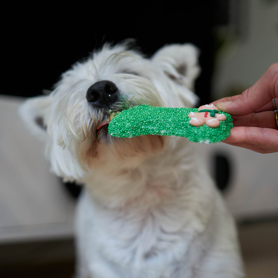 Christmas Bone Gingerbread Cookie with Sprinkles