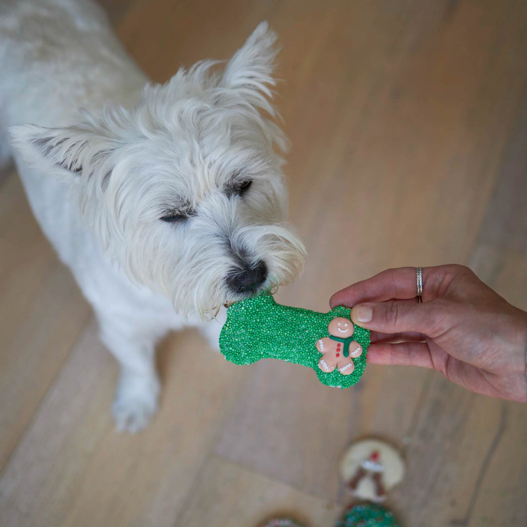 Christmas Bone Gingerbread Cookie with Sprinkles