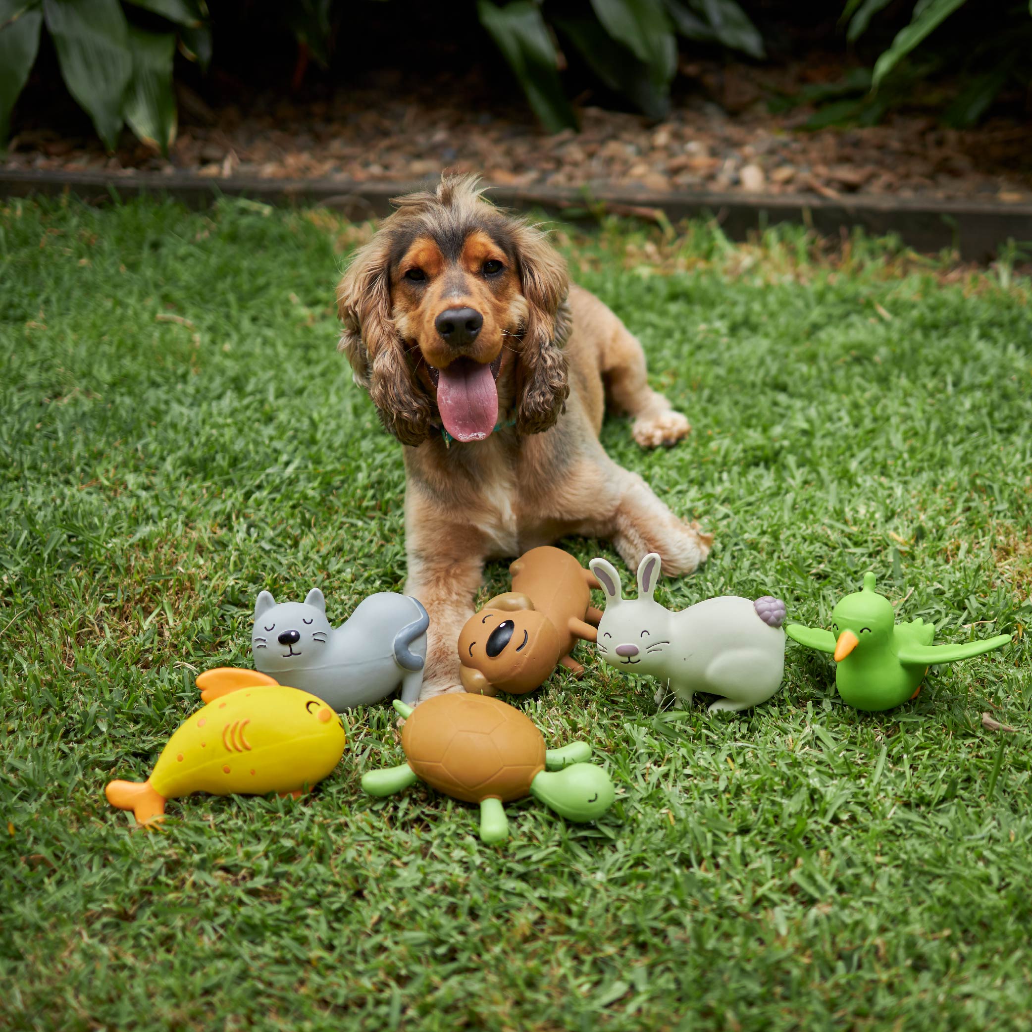 Bird dog toy sale