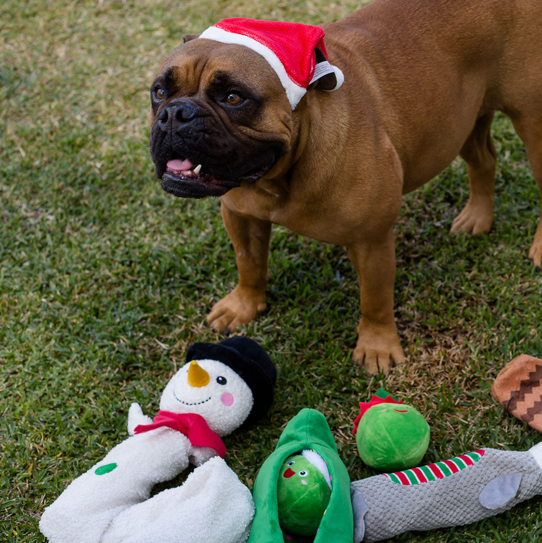 Santa Paws Hat - Large