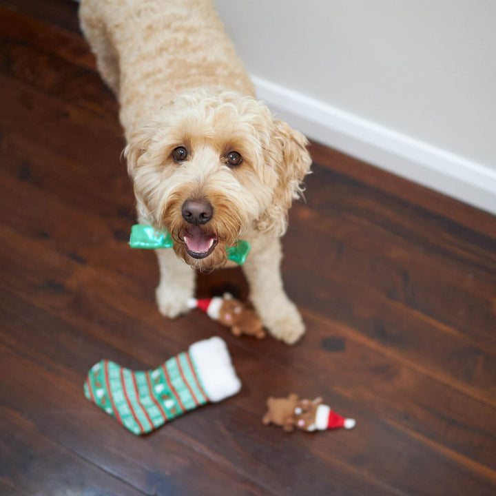 Christmas Green Bow Tie - Medium