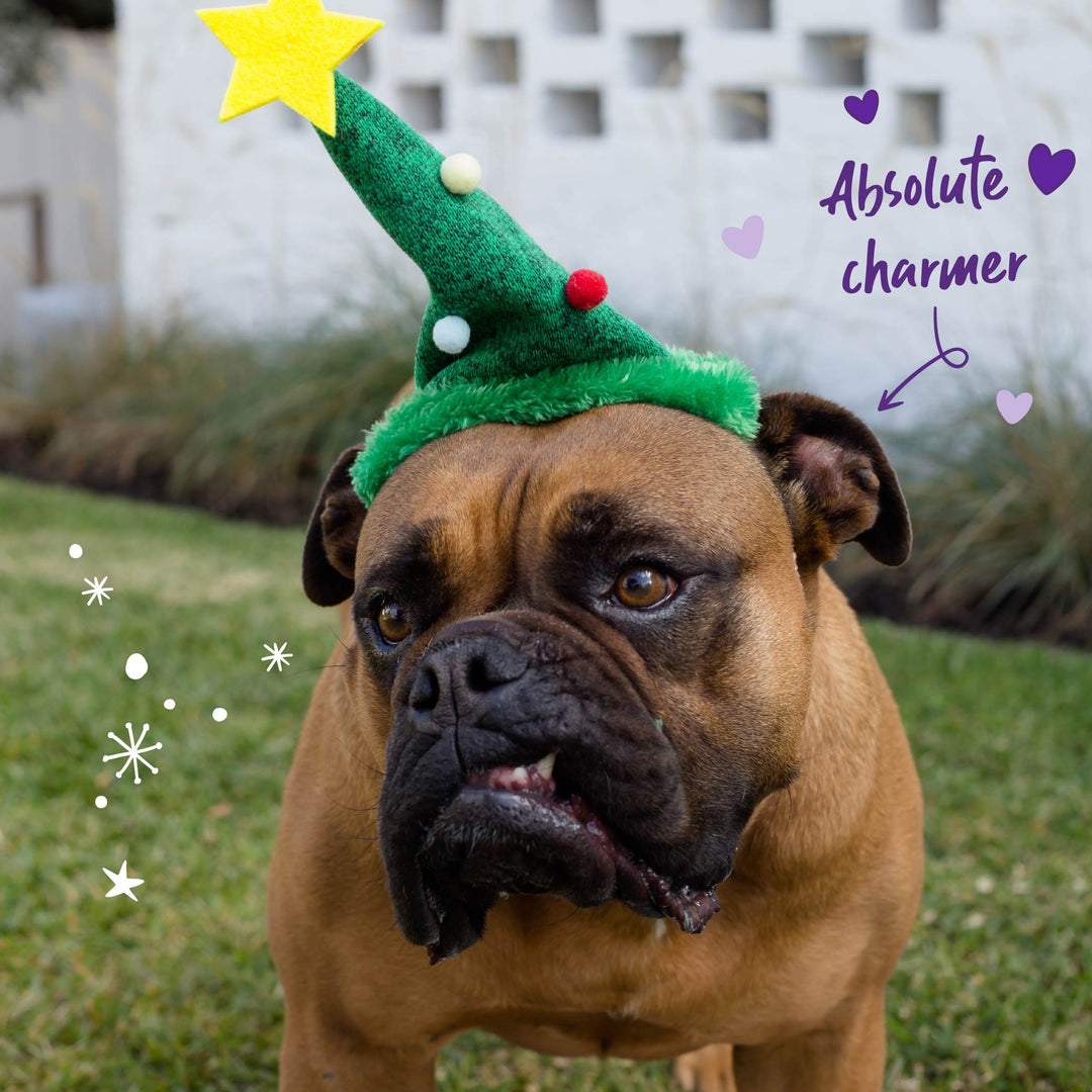 Christmas Tree Hat