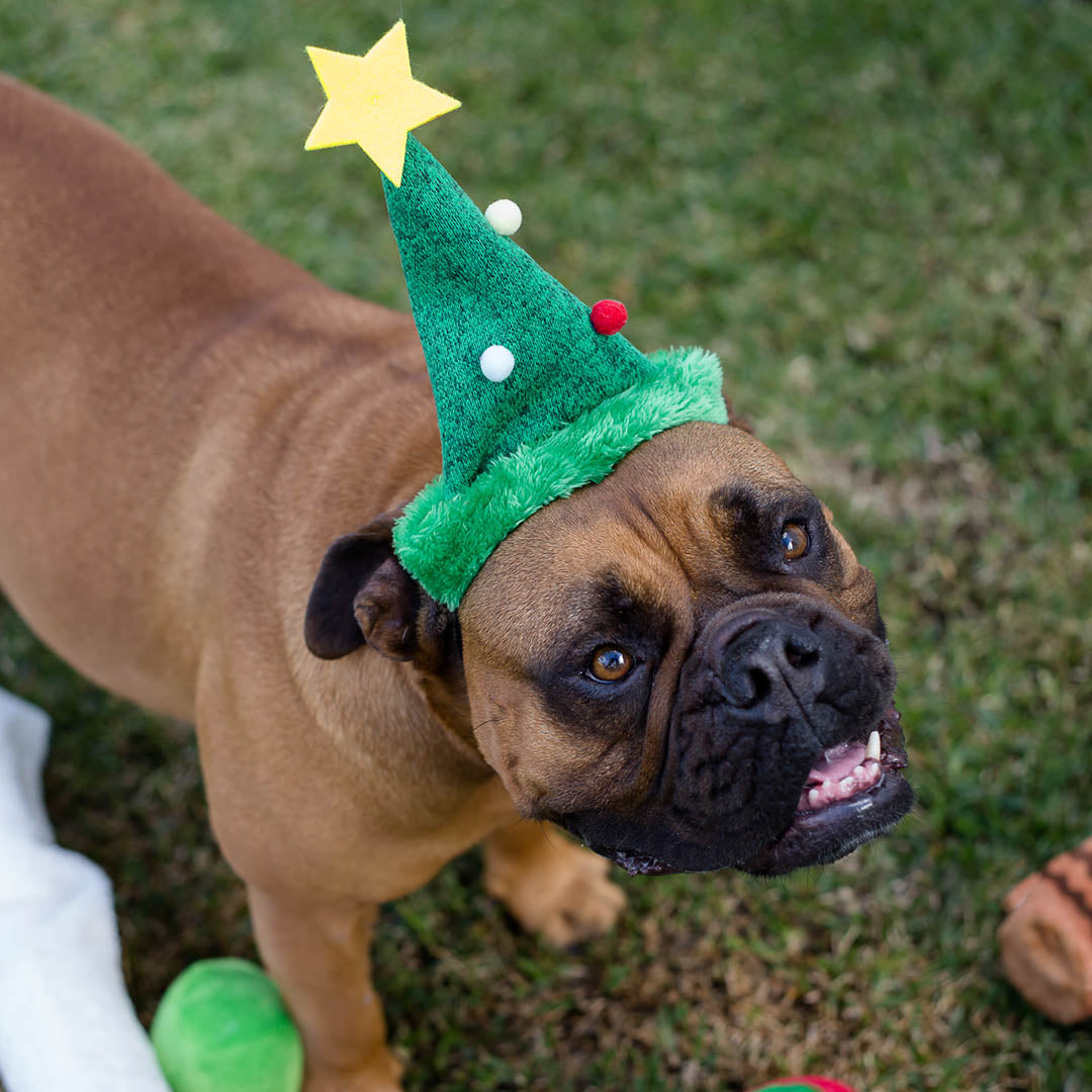 Christmas Tree Hat