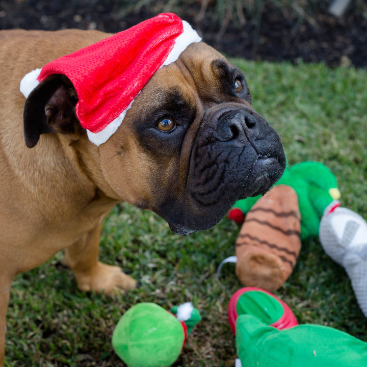 Santa Paws Hat - Large