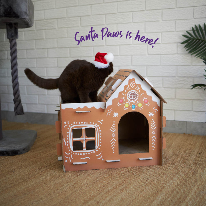 Kitty Christmas Cardboard Gingerbread Cottage