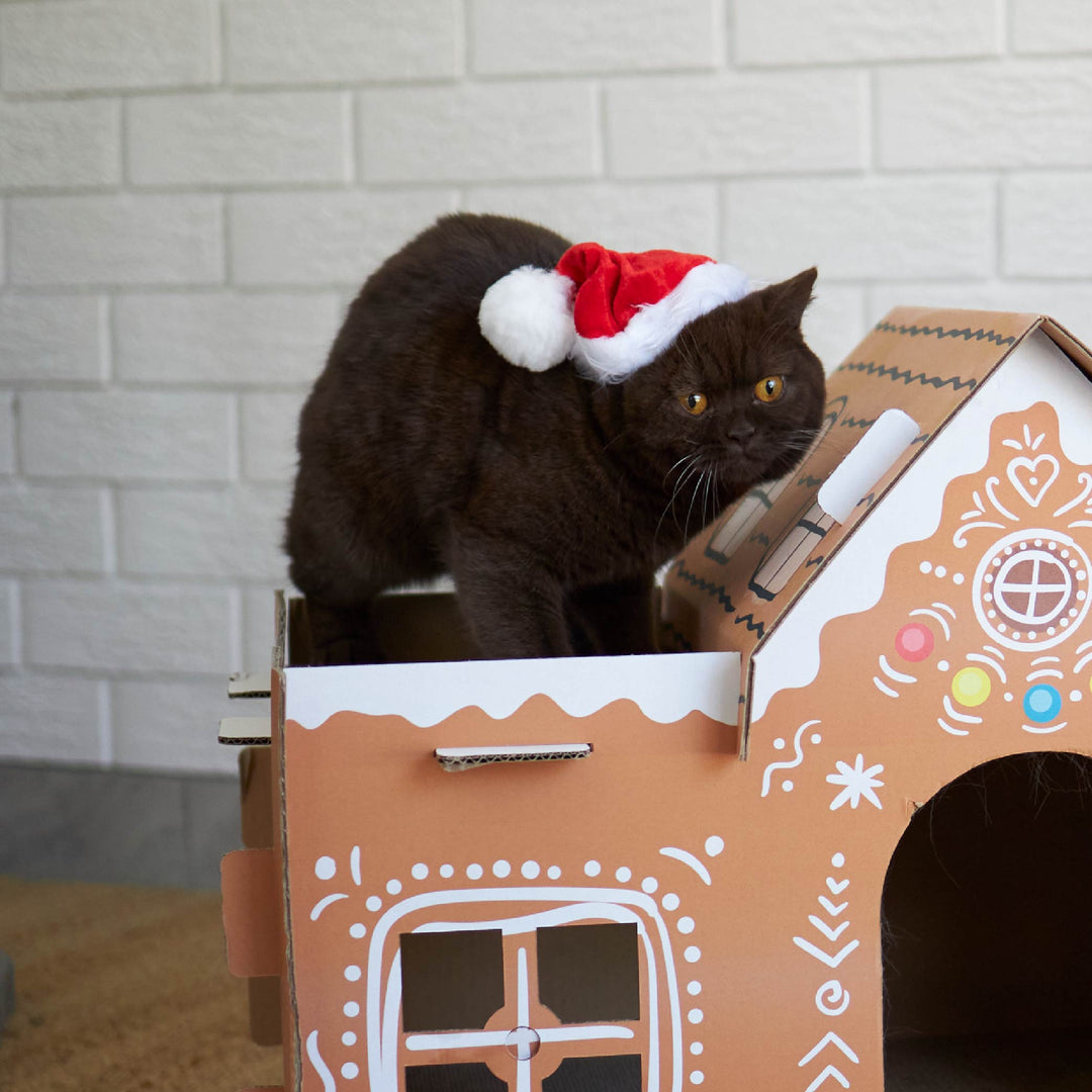 Kitty Christmas Cardboard Gingerbread Cottage