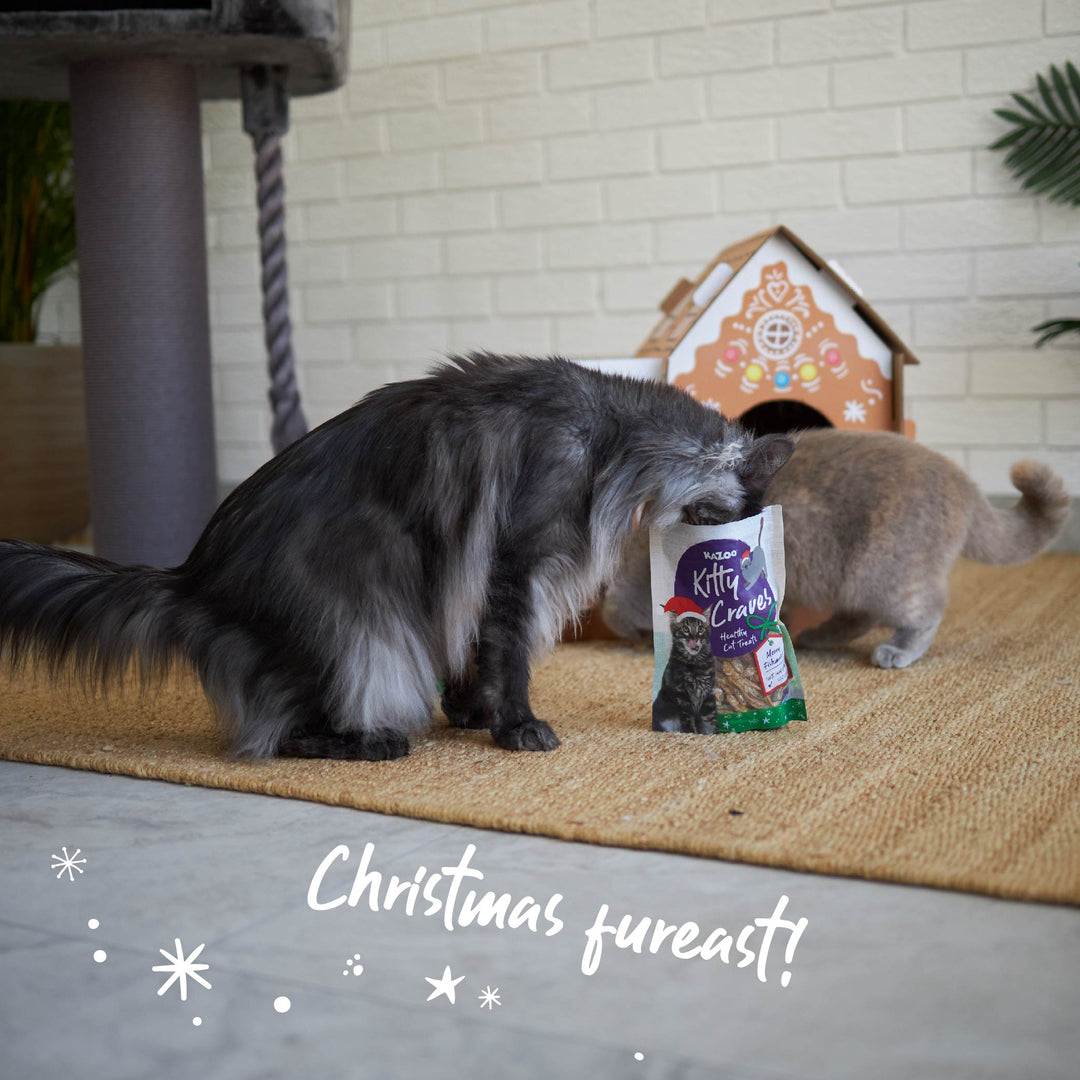 Kitty Christmas Cardboard Gingerbread Cottage