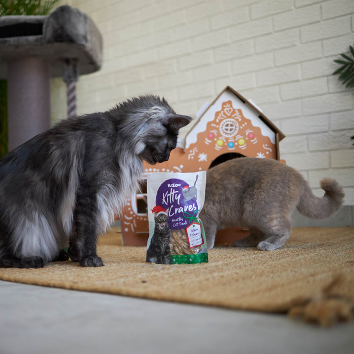 Christmas Kitty Craves Anchovies - 100gm