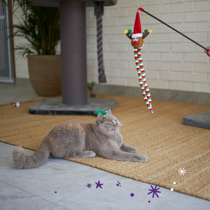 Christmas Cat Toy - Rudolph Wand Teaser