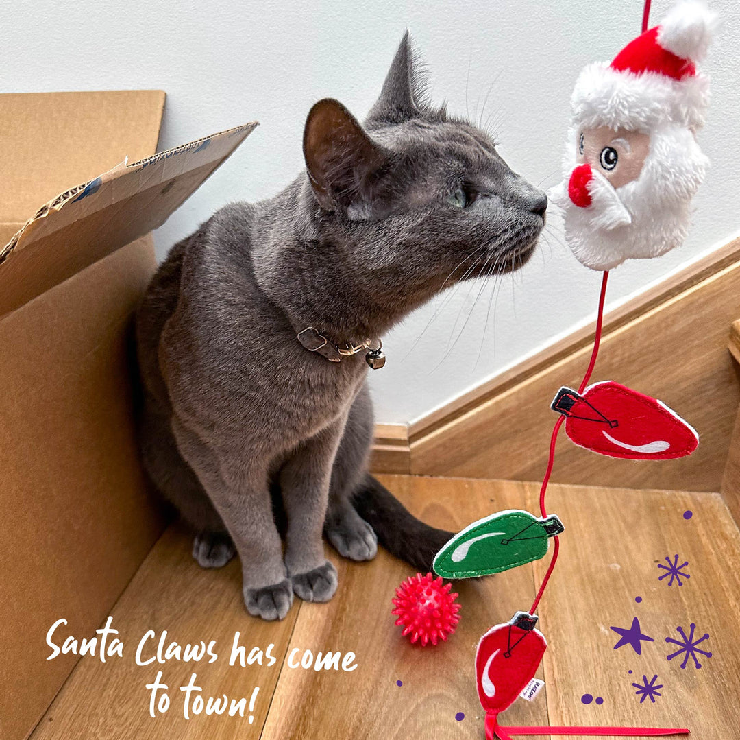 Christmas Cat Toy - Santa Wand Teaser