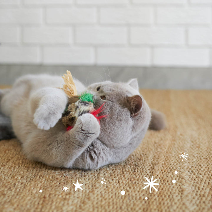 Kitty Christmas Catnip Owl