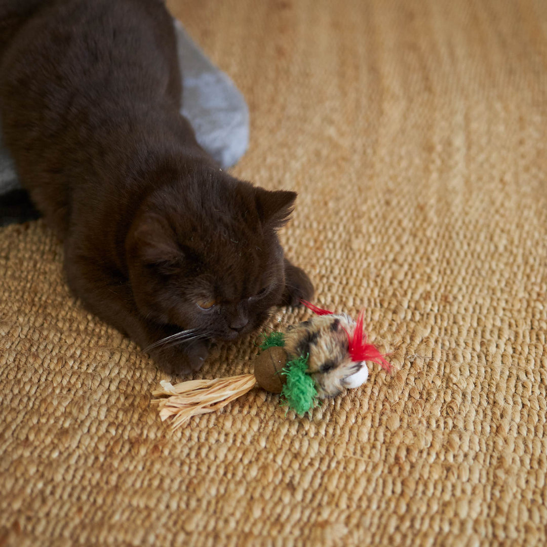 Kitty Christmas Catnip Owl