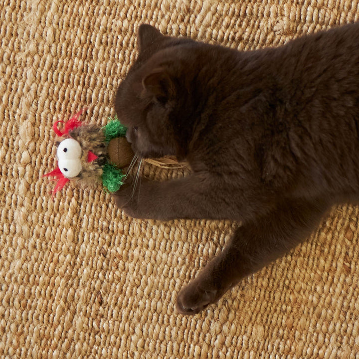 Kitty Christmas Catnip Owl